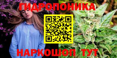 ALPHA PVP Будённовск