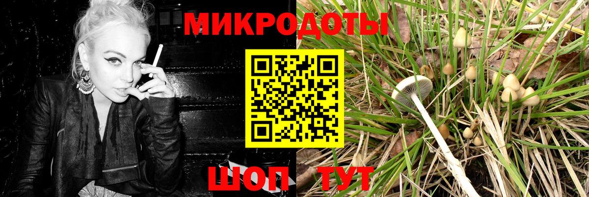 Галлюциногенные грибы GOLDEN TEACHER Ржев