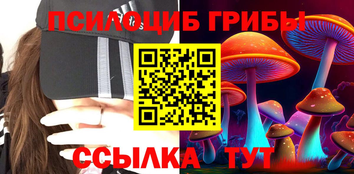 Ржев  Галлюциногенные грибы прущие грибы  Вход с VPN 